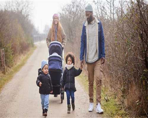 代怀生子费用-冷冻胚胎的法律属性？