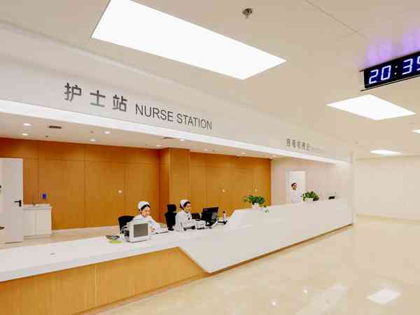 借卵助孕全流程攻略：从身体检查到胚胎移植的关键步骤
